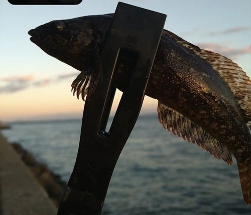 東京湾（アクアライン〜富津）