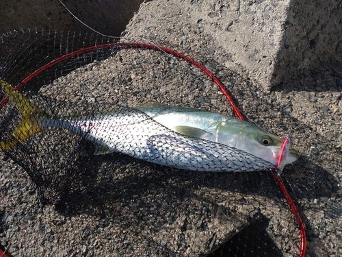 新舞子海岸（いわき）