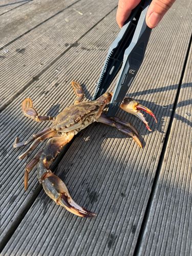 仙台港中央公園