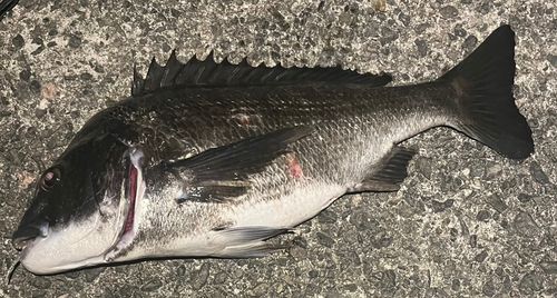 アジュール舞子