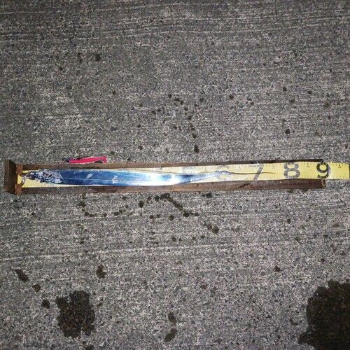 タチウオの釣果