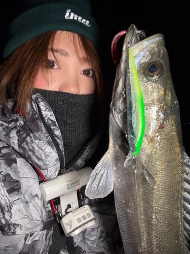 東京湾（アクアライン〜富津）