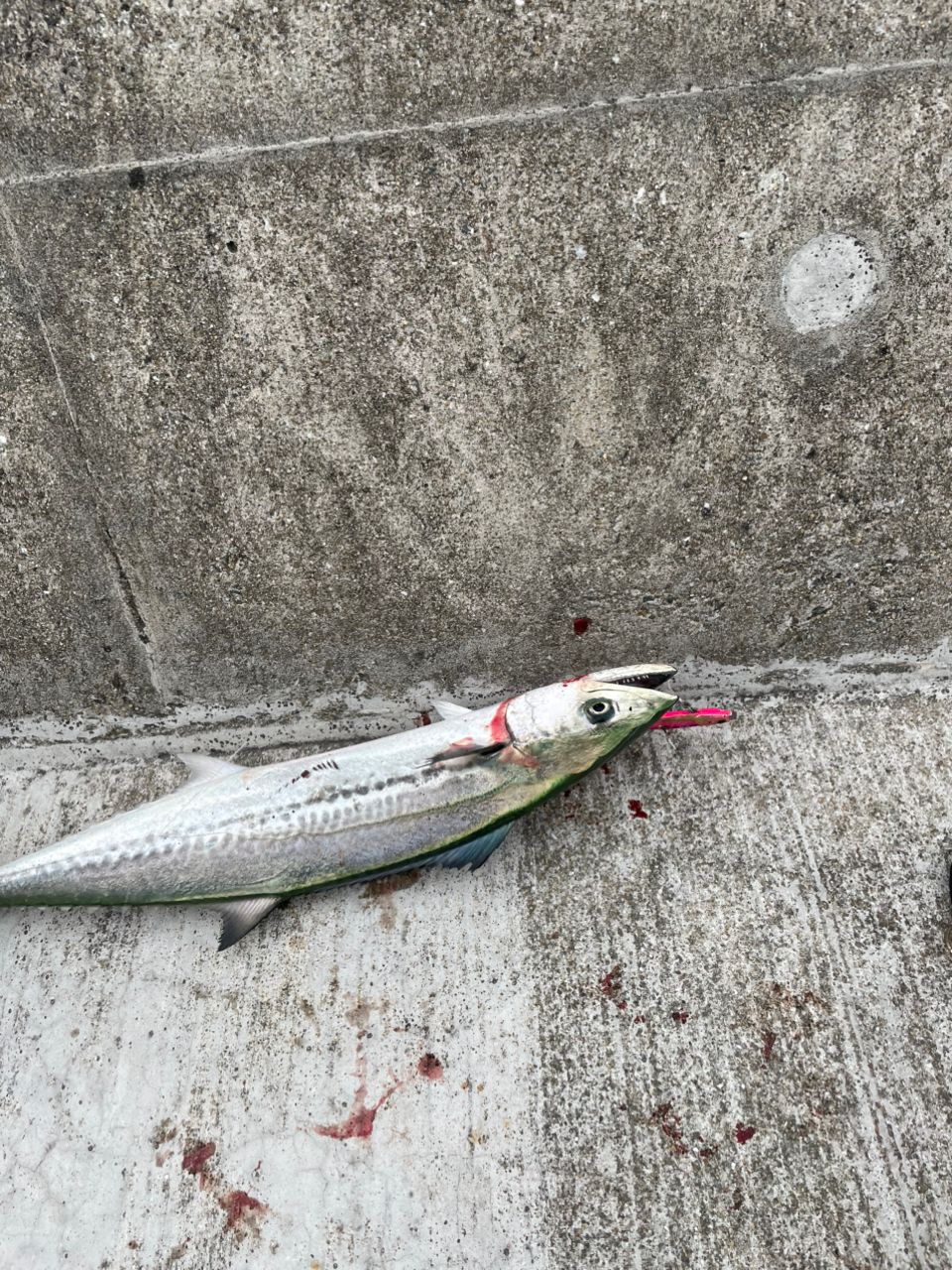 JACKALL ビーアールエス BRS-S96ML-LSJの最安値・インプレ・釣果