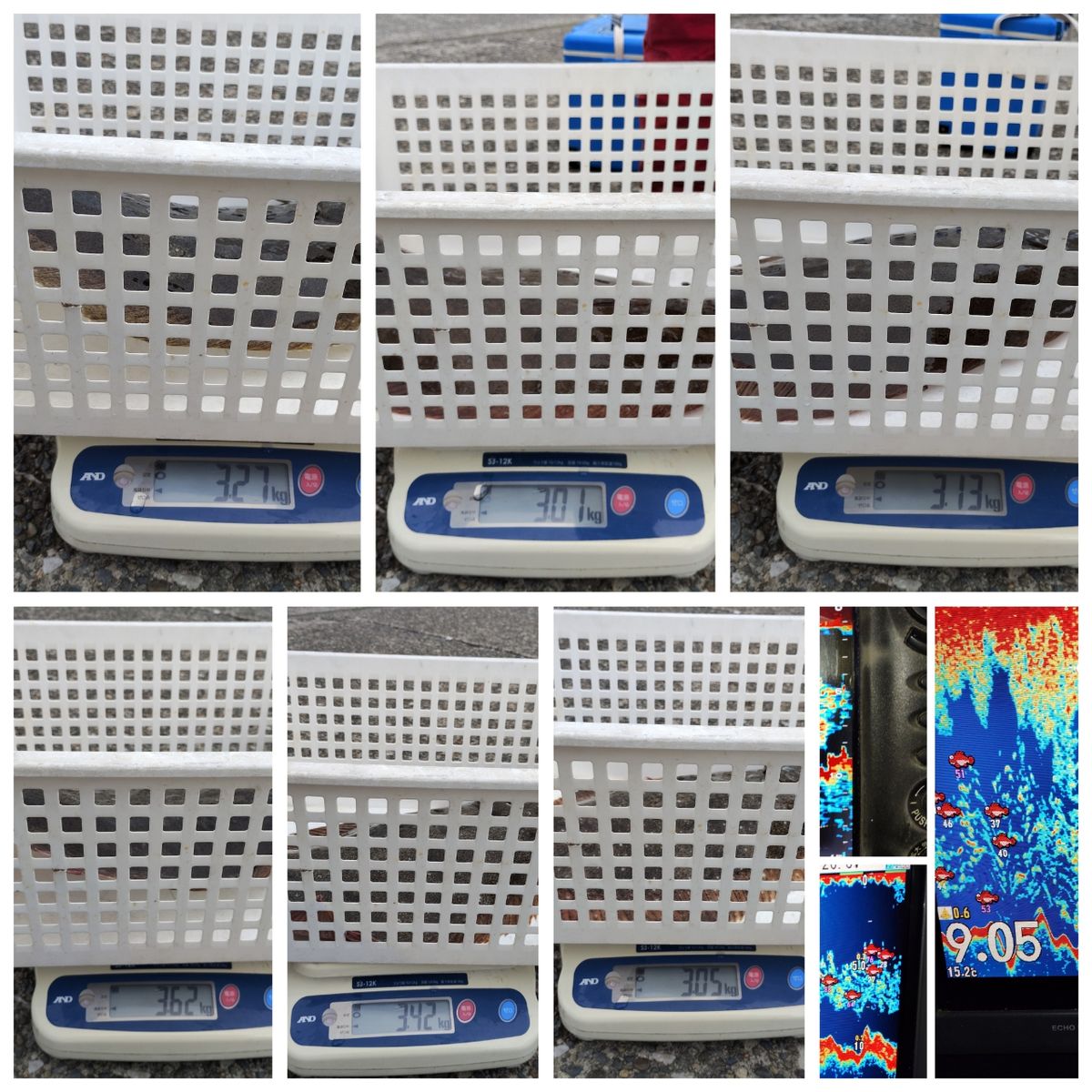 春栄丸･白川永一さんの釣果 2枚目の画像