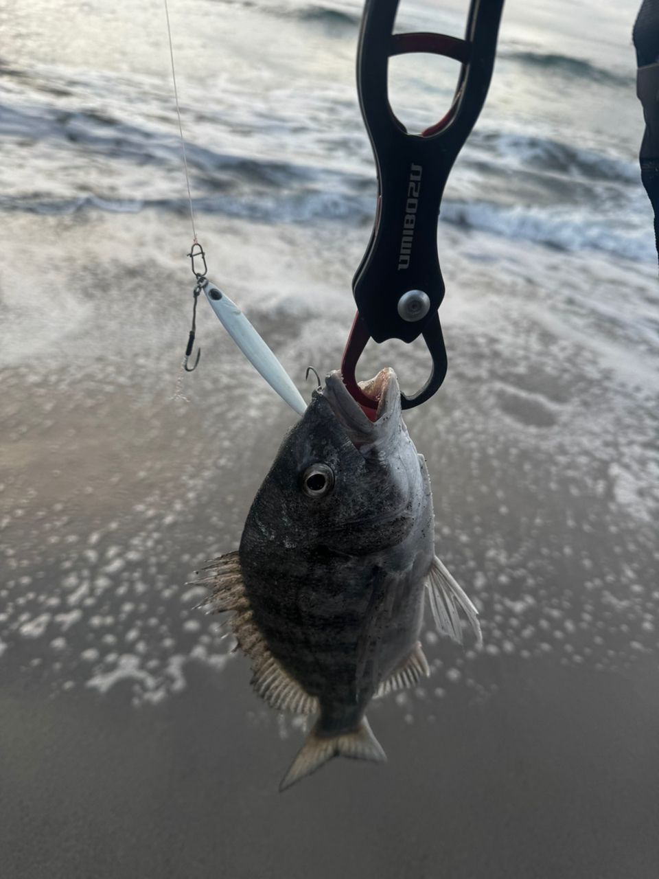 GCRAFT セブンセンスTR モンスターサーフ MSS-1062SS-TRの最安値