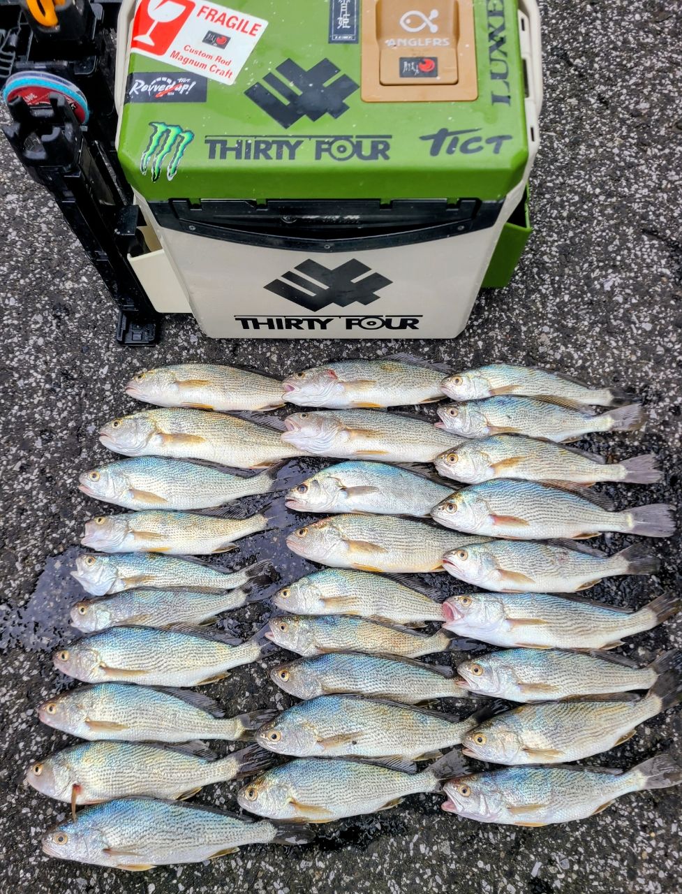 DAIWA 22イグジスト SF1000S-Pの最安値・インプレ・釣果 | 本音の