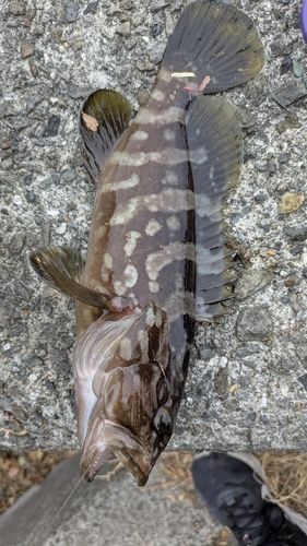 野見潮ばかり公園