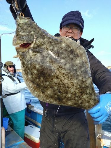 ヒラメの釣果