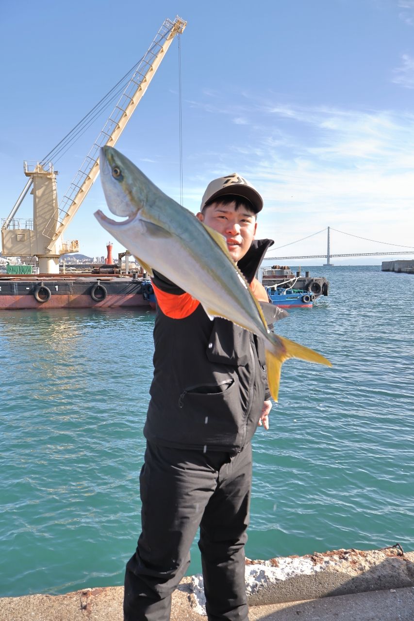 釣り船魚英@兵庫県明石港さんの釣果 1枚目の画像