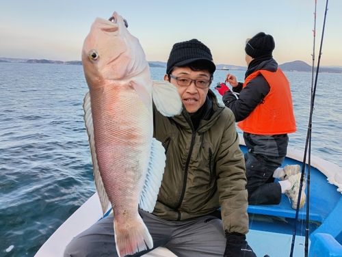 アマダイの釣果