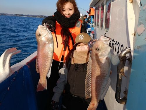 アマダイの釣果