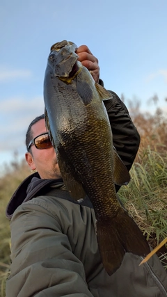 スモールマウスバスの釣果
