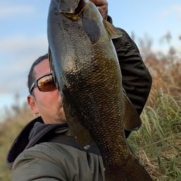 スモールマウスバス