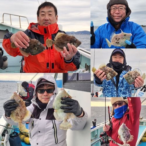 カワハギの釣果