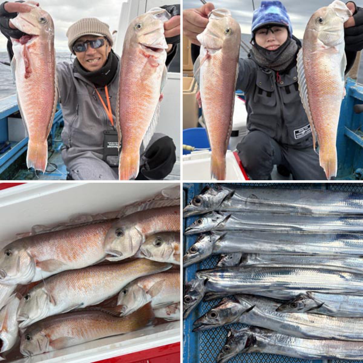 哲遊丸さんの釣果 1枚目の画像