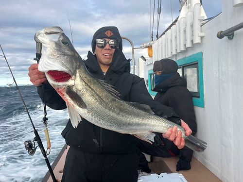 知多半島野池群