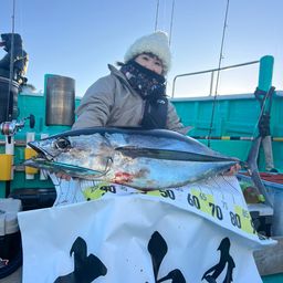 ビンチョウマグロ