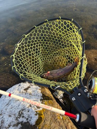 川場フィッシングプラザ