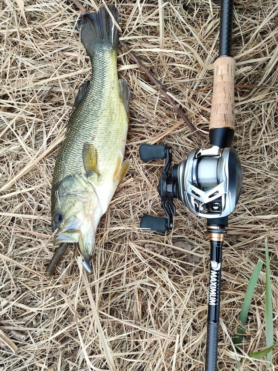 DAIWA 20アルファス SV TW 800XHの最安値・インプレ・釣果 | 本音の