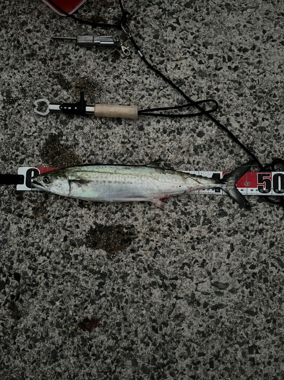 SHIMANO 22コルトスナイパーSS LSJ S96MLの最安値・インプレ・釣果