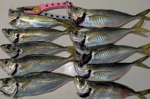 アジュール舞子