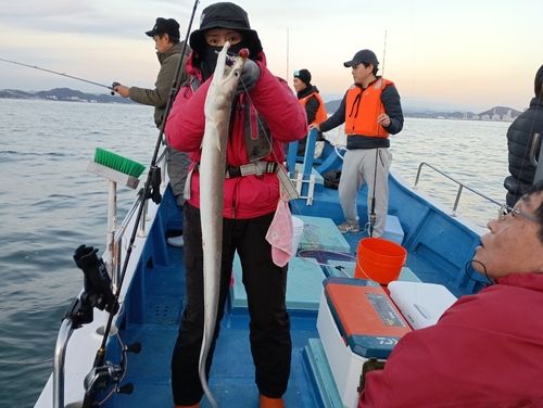 ハモの釣果