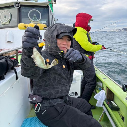 カワハギの釣果