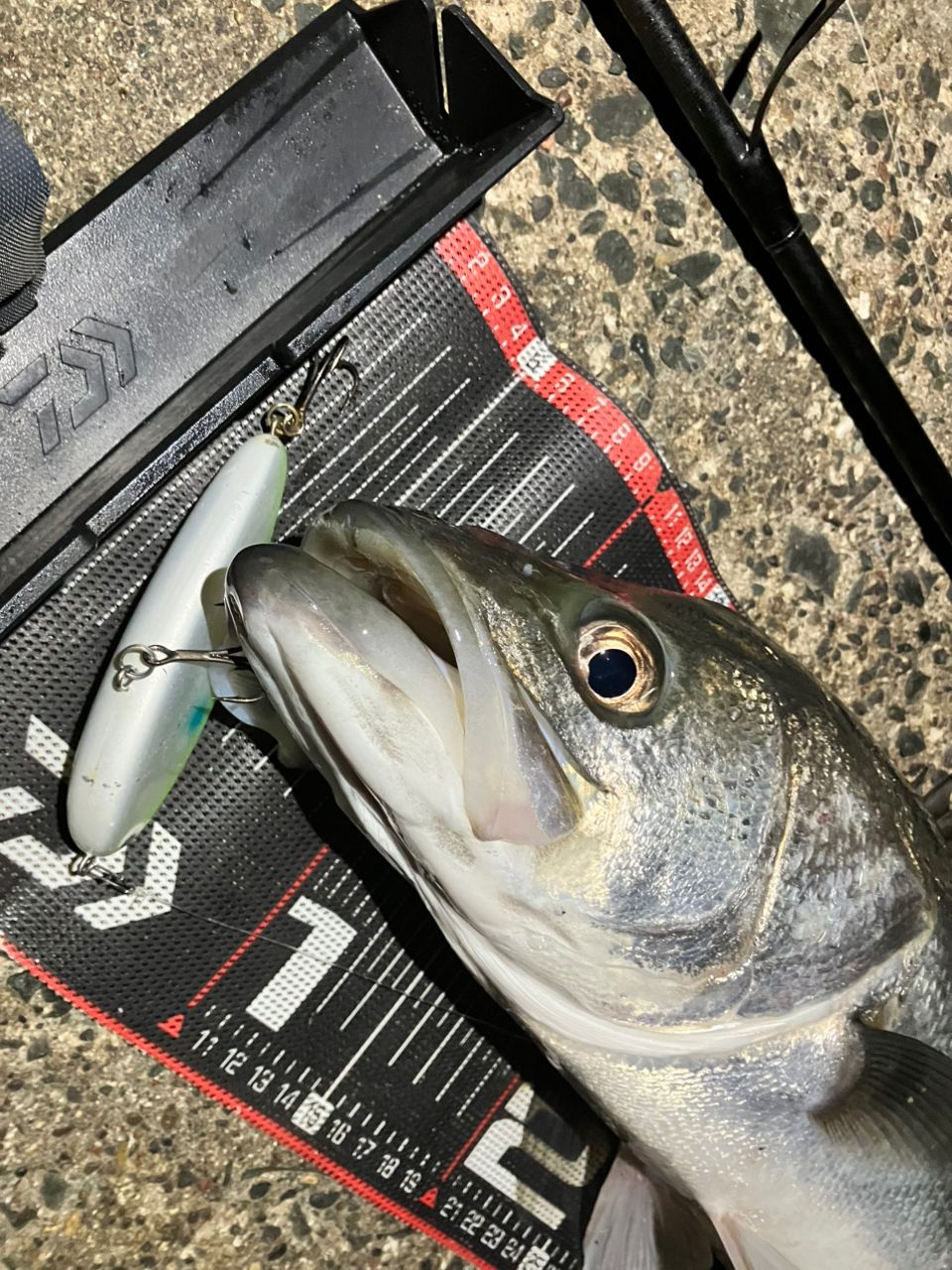 DAIWA 21ラブラックス AGS 96MHの最安値・インプレ・釣果 | 本音の