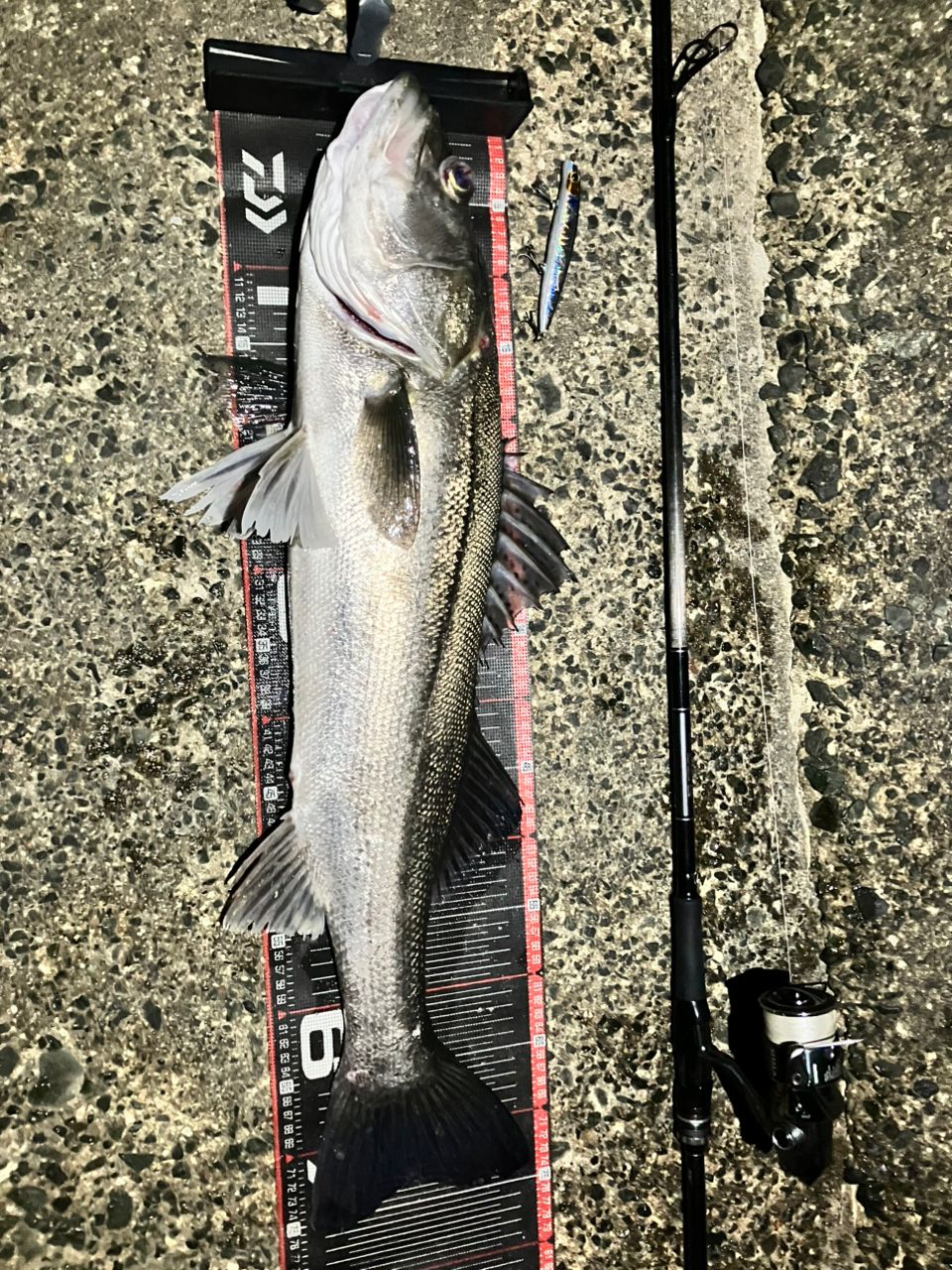 DAIWA 21ラブラックス AGS 96MHの最安値・インプレ・釣果 | 本音の