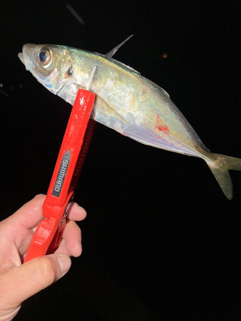 MajorCraft 鯵道 5G AD5-S622M/AJIの最安値・インプレ・釣果 | 本音の