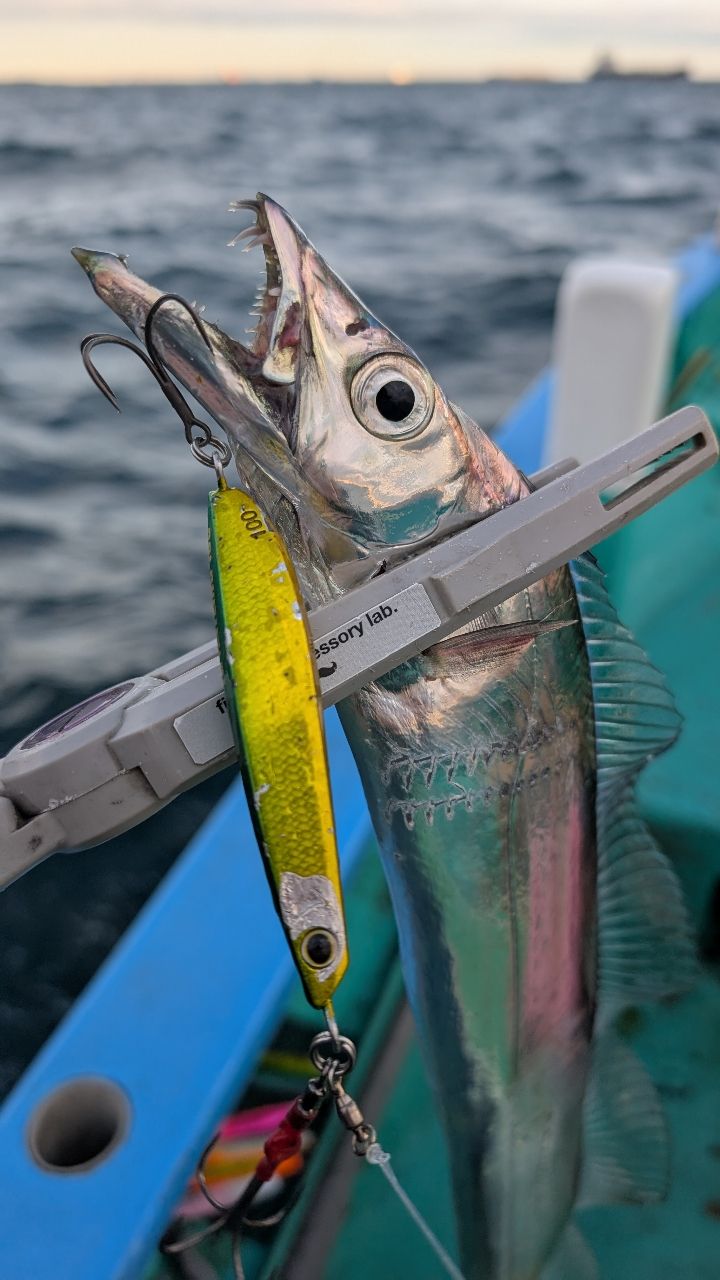 おざくんさんの釣果 1枚目の画像