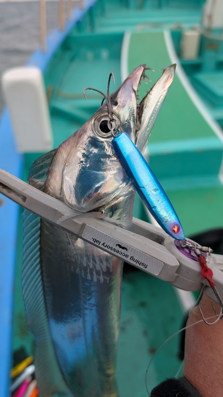 おざくんさんの釣果 2枚目の画像