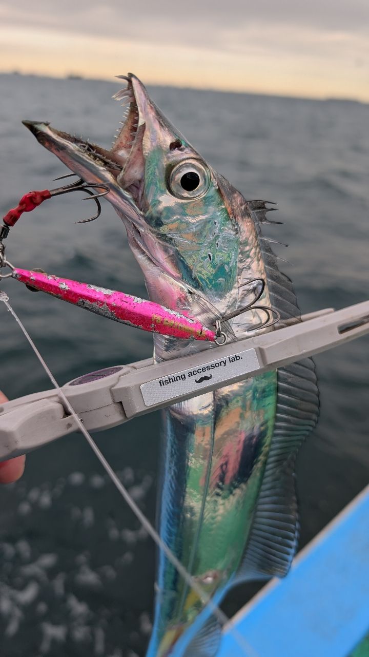おざくんさんの釣果 3枚目の画像