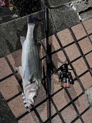 那珂川（福岡）