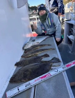 ヒラメの釣果