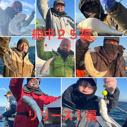 ショウサイフグ