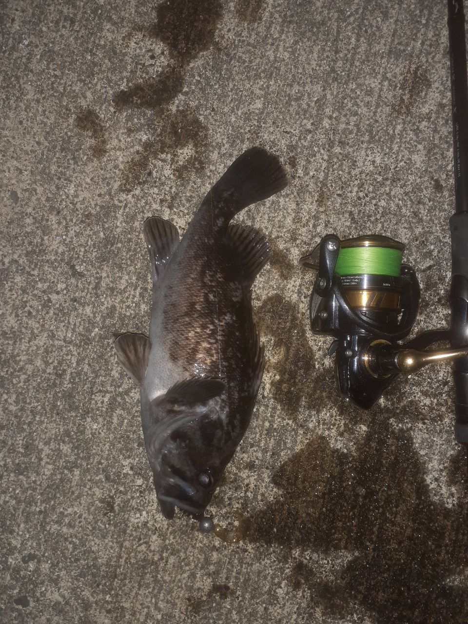 SHIMANO 22ハードロッカー SS S76ML+の最安値・インプレ・釣果 | 本音