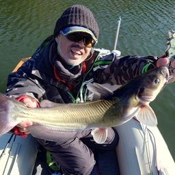 アメリカンキャットフィッシュ