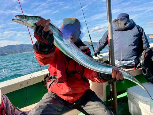 タチウオの釣果