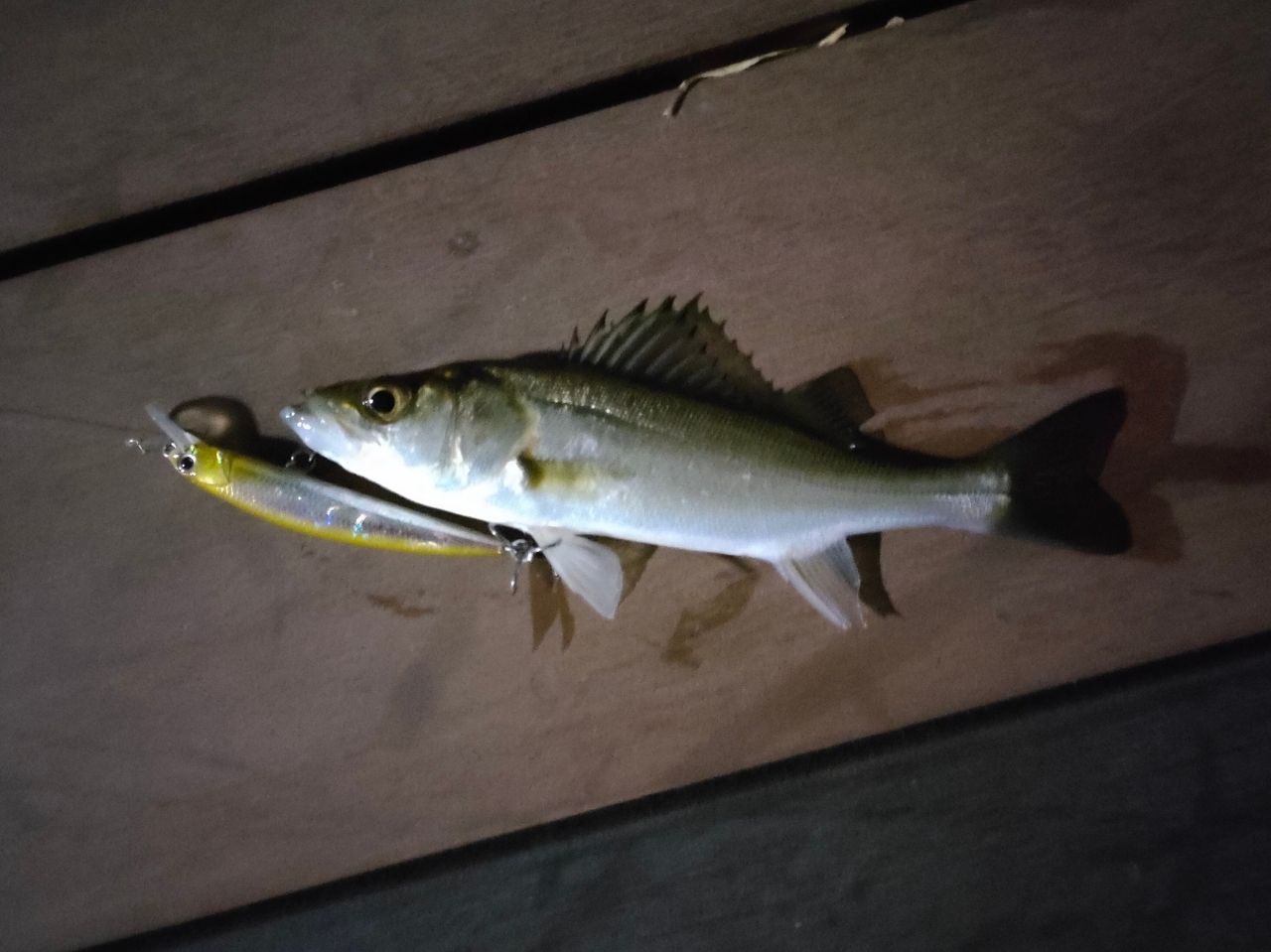 AbuGarcia ソルティーステージ・KR-X・ベイトフィネスカスタムの最安値