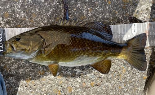 那珂川（茨城〜栃木）