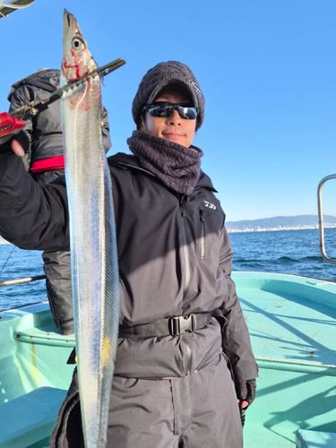 タチウオの釣果