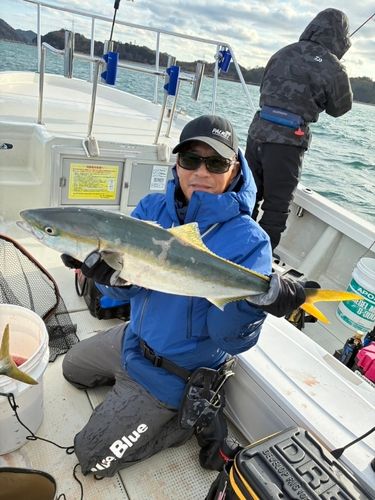 ハマチの釣果