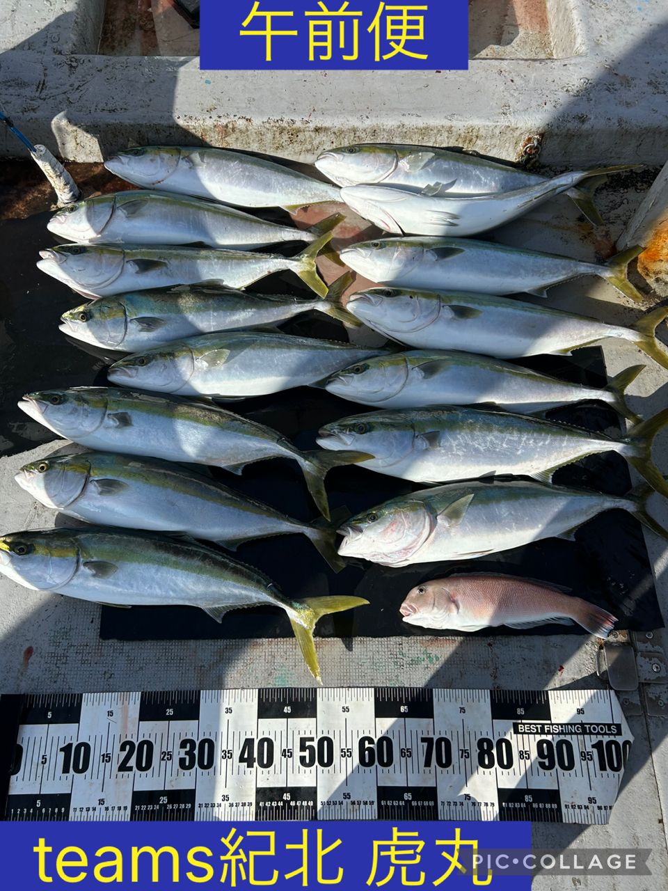 釣り船 虎丸さんの釣果 1枚目の画像