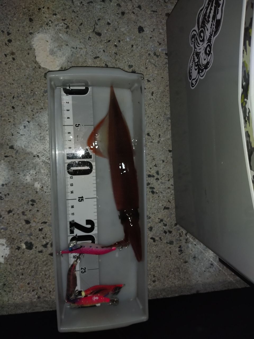 DAIWA 20月下美人 メバルモデル 76L-Tの最安値・インプレ・釣果 | 本音