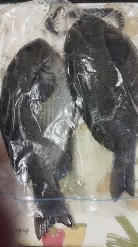 金沢水際線緑地（福浦岸壁）