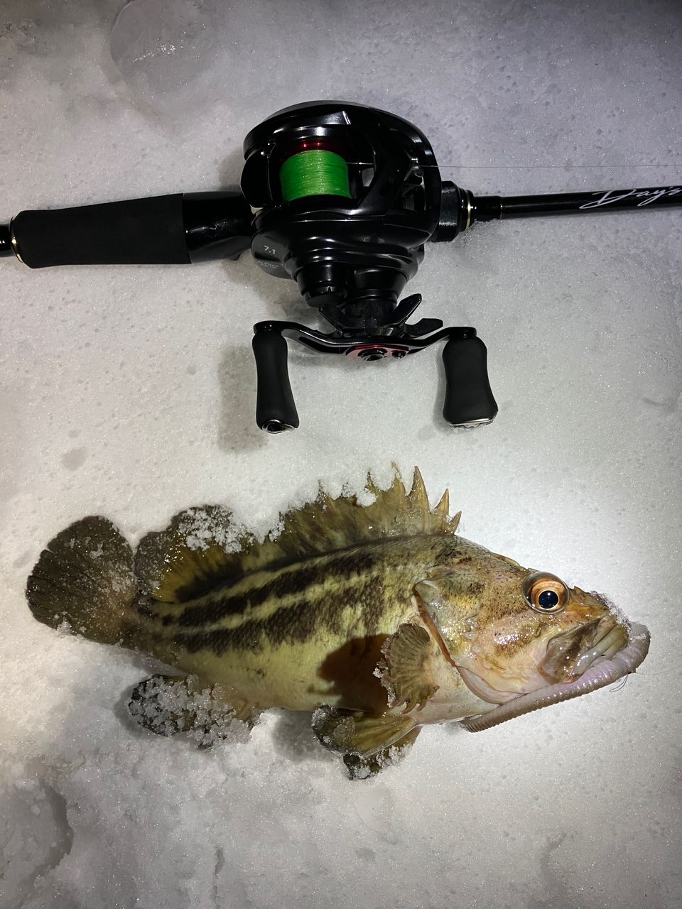 DAIWA 21アルファス エア TW 7.1Rの最安値・インプレ・釣果 | 本音の