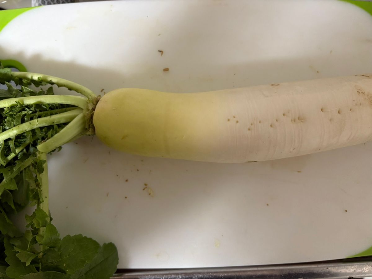 ぱる太郎さんの釣果 2枚目の画像