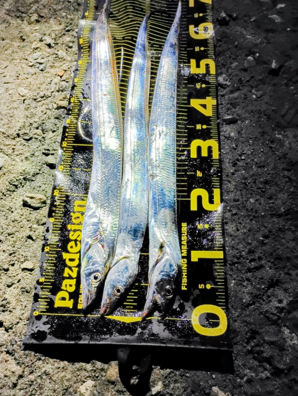 SHIMANO 18ディアルーナ S110Mの最安値・インプレ・釣果 | 本音の