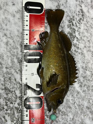 キラキラ公園（苫小牧西港）